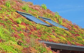 Llangloffan living roof systems