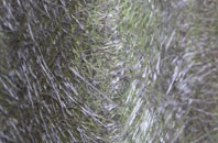 Llangloffan fibreglass roof work